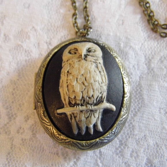 Owl Locket Stash Box Pill Photo Necklace Cameo - Picture 2 of 5